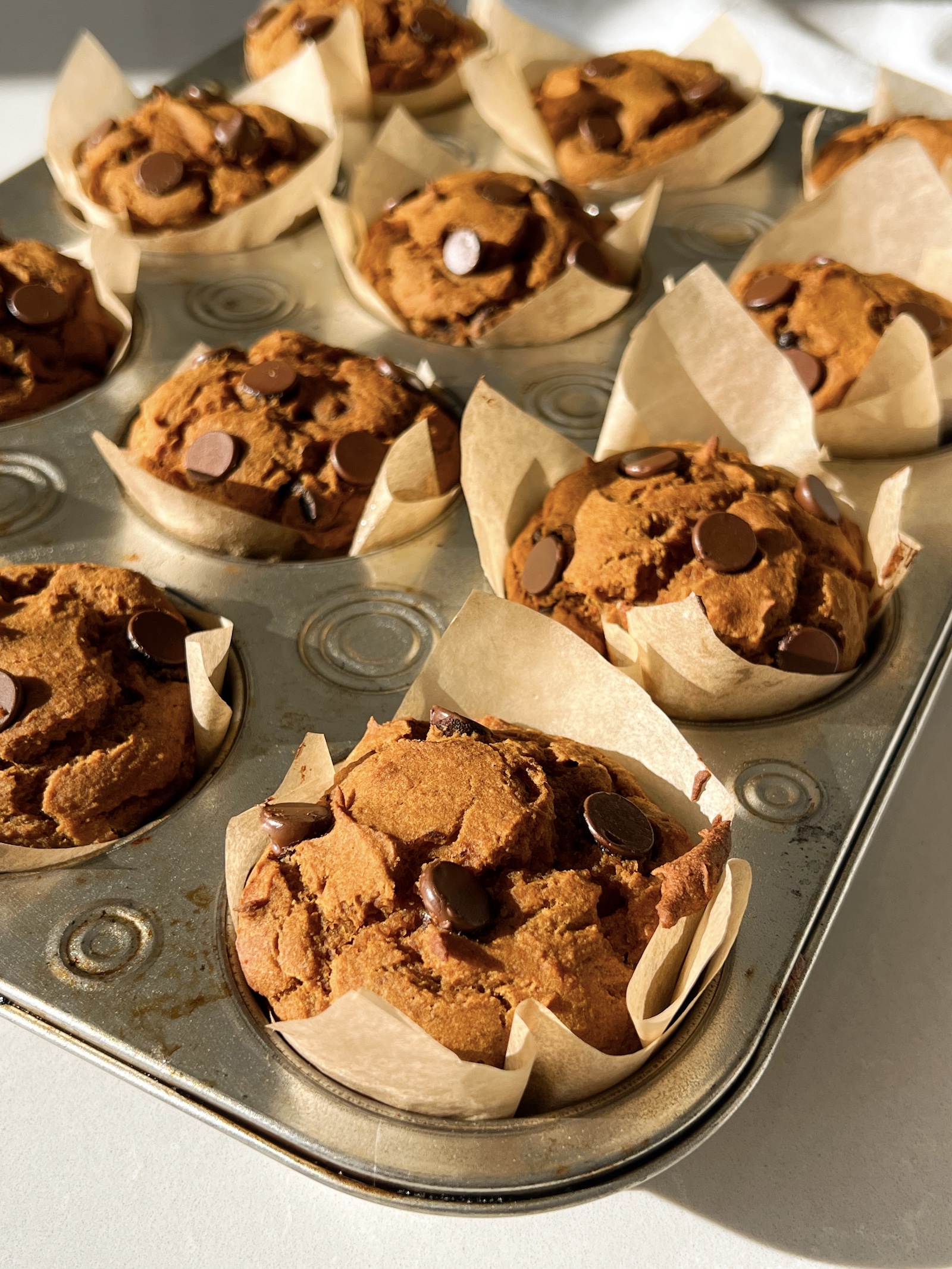 Gluten Free Pumpkin Muffins (High Protein)-image